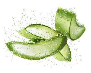 Профессионал обмена веществ